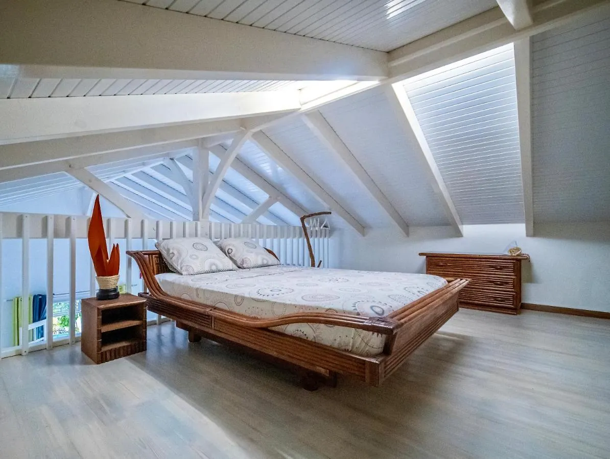 Complexe La Providencia - Villa, Duplex, Studio, Jacuzzi Le Diamant